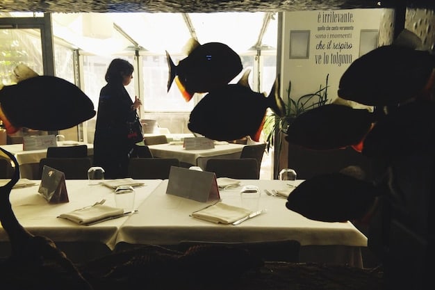 Breaking: ANCINE Updates Funding Guidelines for Independent Filmmakers
