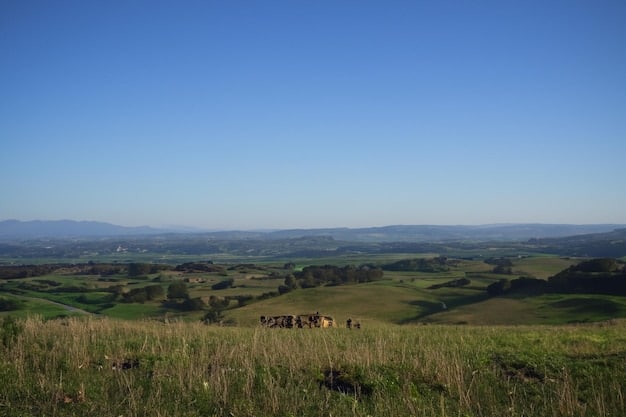 A panoramic view of a rural Brazilian landscape, with vast open fields and a small, isolated farmhouse in the distance. The sky is dramatic, conveying a sense of both beauty and isolation, underscoring the theme of urban vs. rural life.
