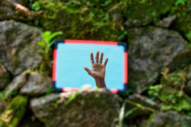 Brazilian Cinema’s Green Shift: More Eco-Films by 2025?