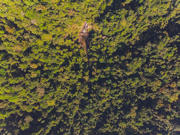 A drone shot capturing a preserved section of the Amazon rainforest contrasting sharply with an adjacent clear-cut area. A small film crew is visible in the foreground setting up equipment, highlighting the real-world context for their environmental filmmaking.