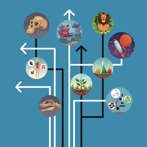 A detailed infographic conceptually mapping the multiple pathways a Brazilian independent film can take from 'Production' to 'Audience', illustrating various distribution channels like festivals, VOD platforms, and community screenings.