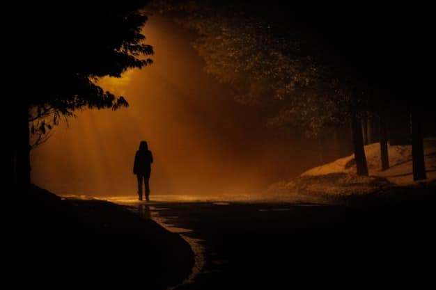 A dark, moody silhouette of a character walking away, with a subtle glow around them, symbolizing their internal moral conflict. The background features blurred city lights, suggesting an urban, modern setting.