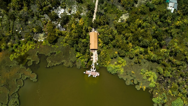 A still from 'Amazonia 2.0' showing a futuristic drone surveying a section of the Amazon rainforest. The image conveys the environmental message of the film, highlighting the intersection of technology and nature conservation.