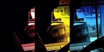 Box Office Bombs: What Went Wrong with These 3 Highly Anticipated Brazilian Films? - Cover Image