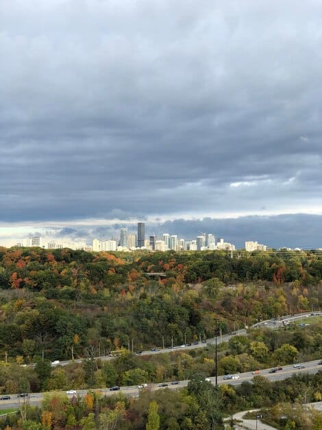A wide shot of a desolate Seattle cityscape, overgrown with vegetation, under a stormy sky. This captures the grim atmosphere and the vast, dangerous world Ellie and Joel must navigate in 'The Last of Us' Season 2: Predicting the Biggest Changes from the Game (Spoiler-Free Review).